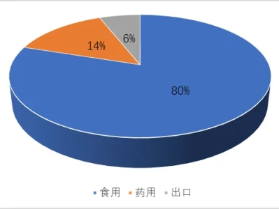 前线战报—市场分析报告新鲜出炉！