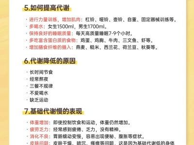 基础代谢❗️