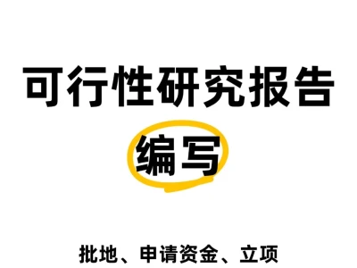 3天(可加急)帮你搞定可行性研究报告