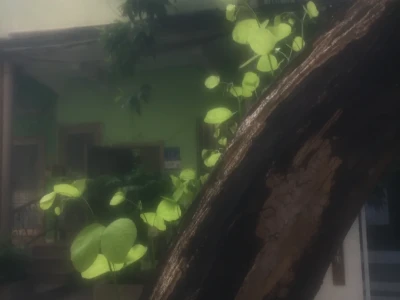 在炎热的夏天,我们无法停止