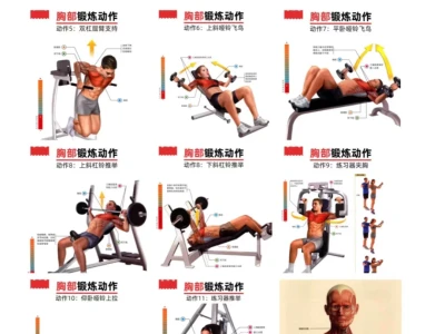 真实经验分享(九):练胸真的有用!附 live
