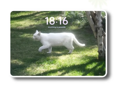 iPad壁纸💛猫猫狗狗🥰🥰