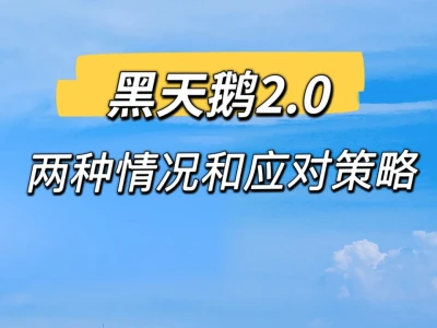 黑天鹅2.0，下周怎么办？