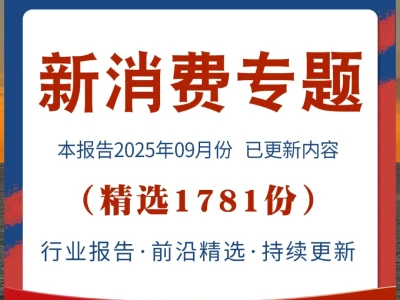 新消费行业研究报告，2025趋势升级指南