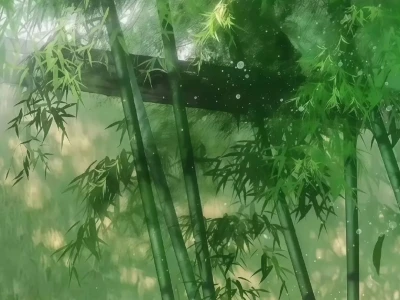wallpaper|绿色系静谧壁纸🍃