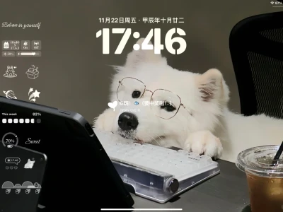 努力的小狗最可爱 | 高清版iPad壁纸