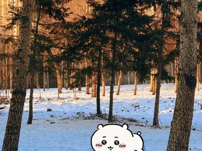 chiikawa背景图