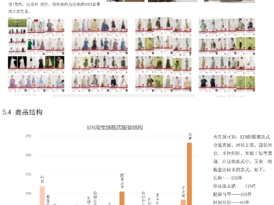 《EIN》女装市场调研报告