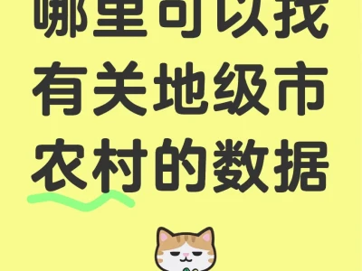 毕业论文农村地级市的数据