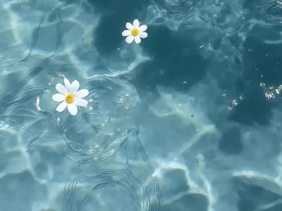 夏日清凉壁纸