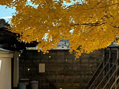 雨季°. ֹ☆ ᮫ 壁纸